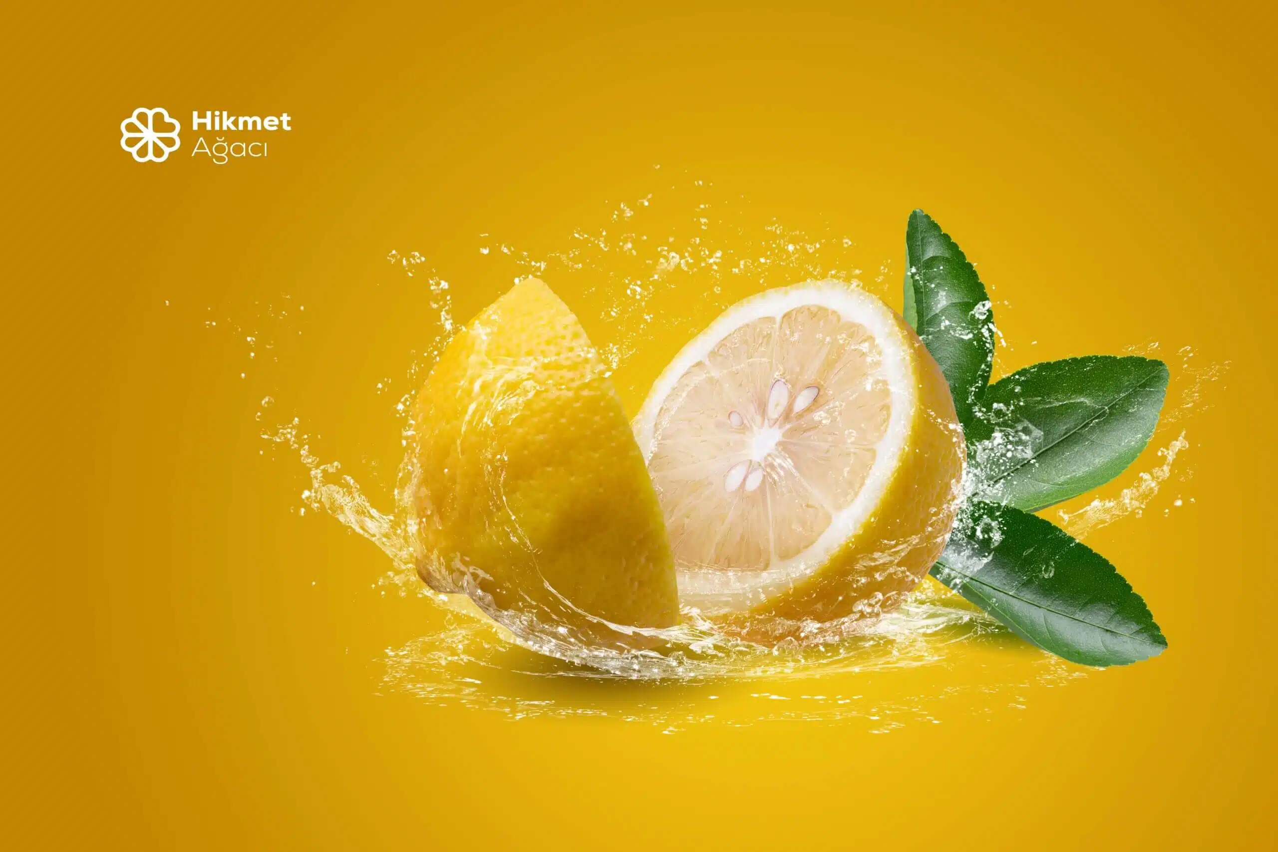 Limonun Çekirdeği Dahi Faydalı