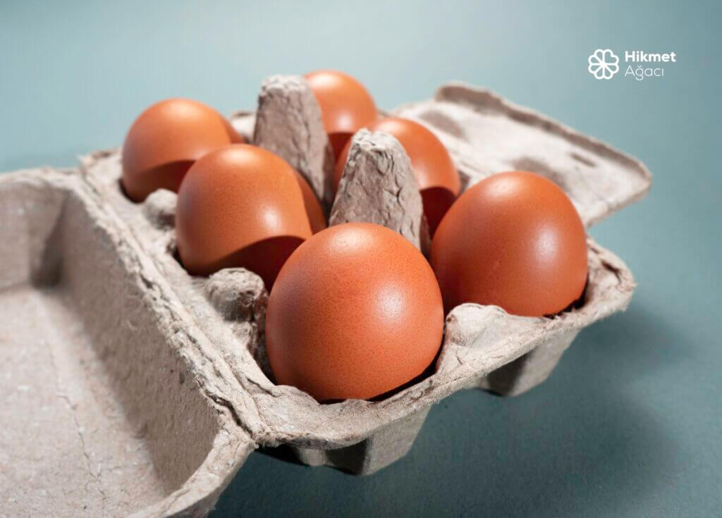 Geleneksel Tıp Yumurta için Ne Diyor?