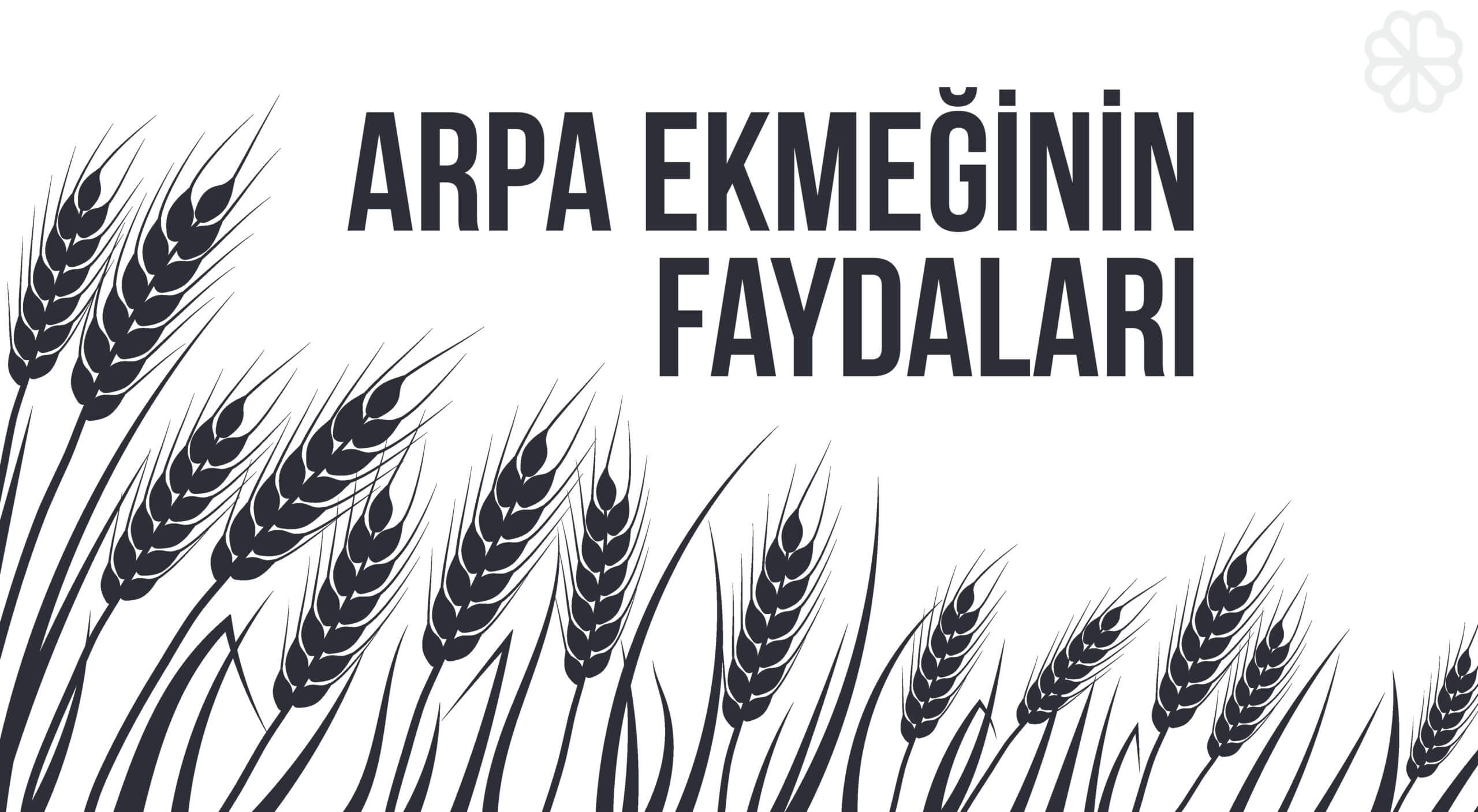 Arpa Ekmeğinin Faydaları