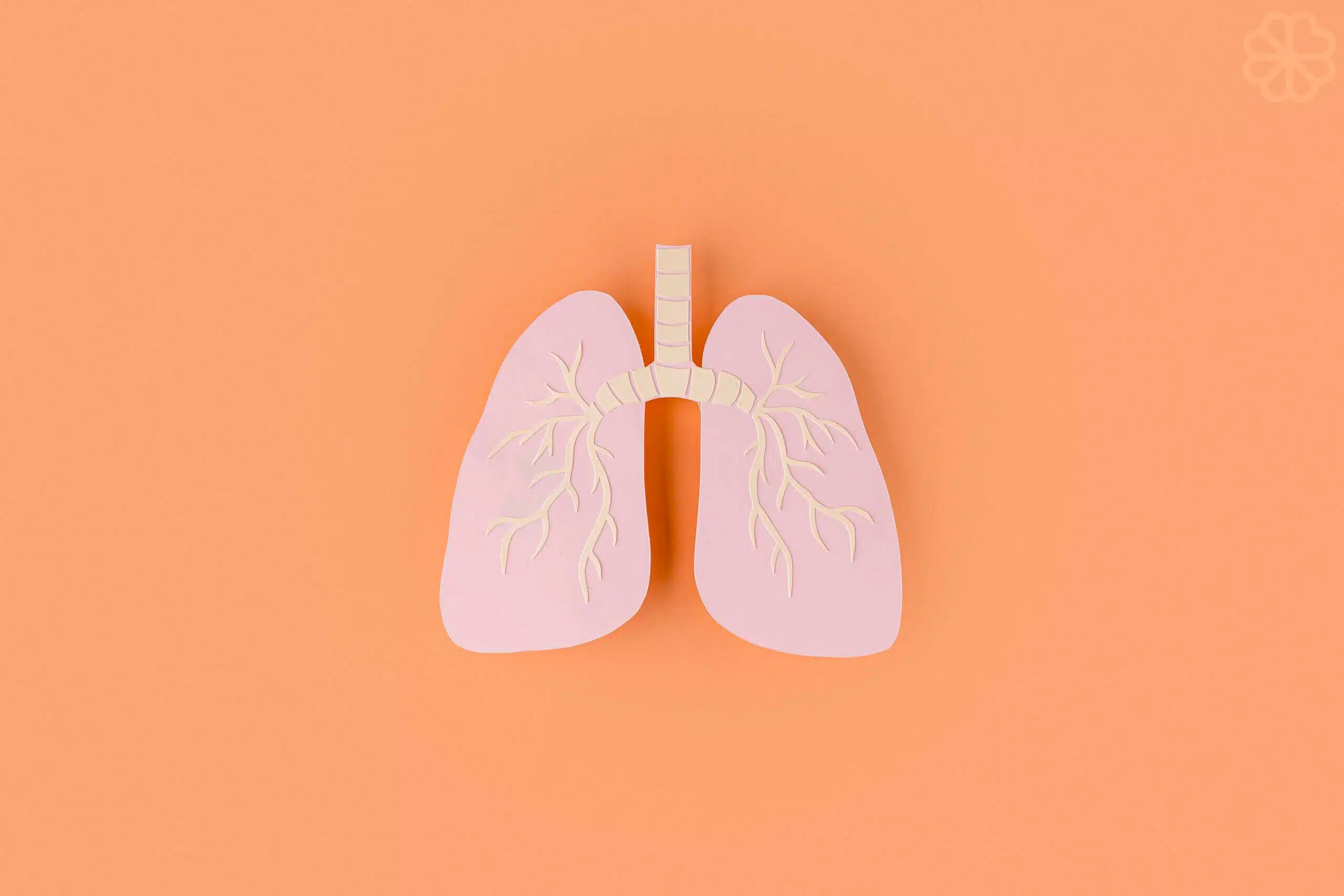 Akciğer Zayıfken Akciğerlere Zararlı 6 Gıda