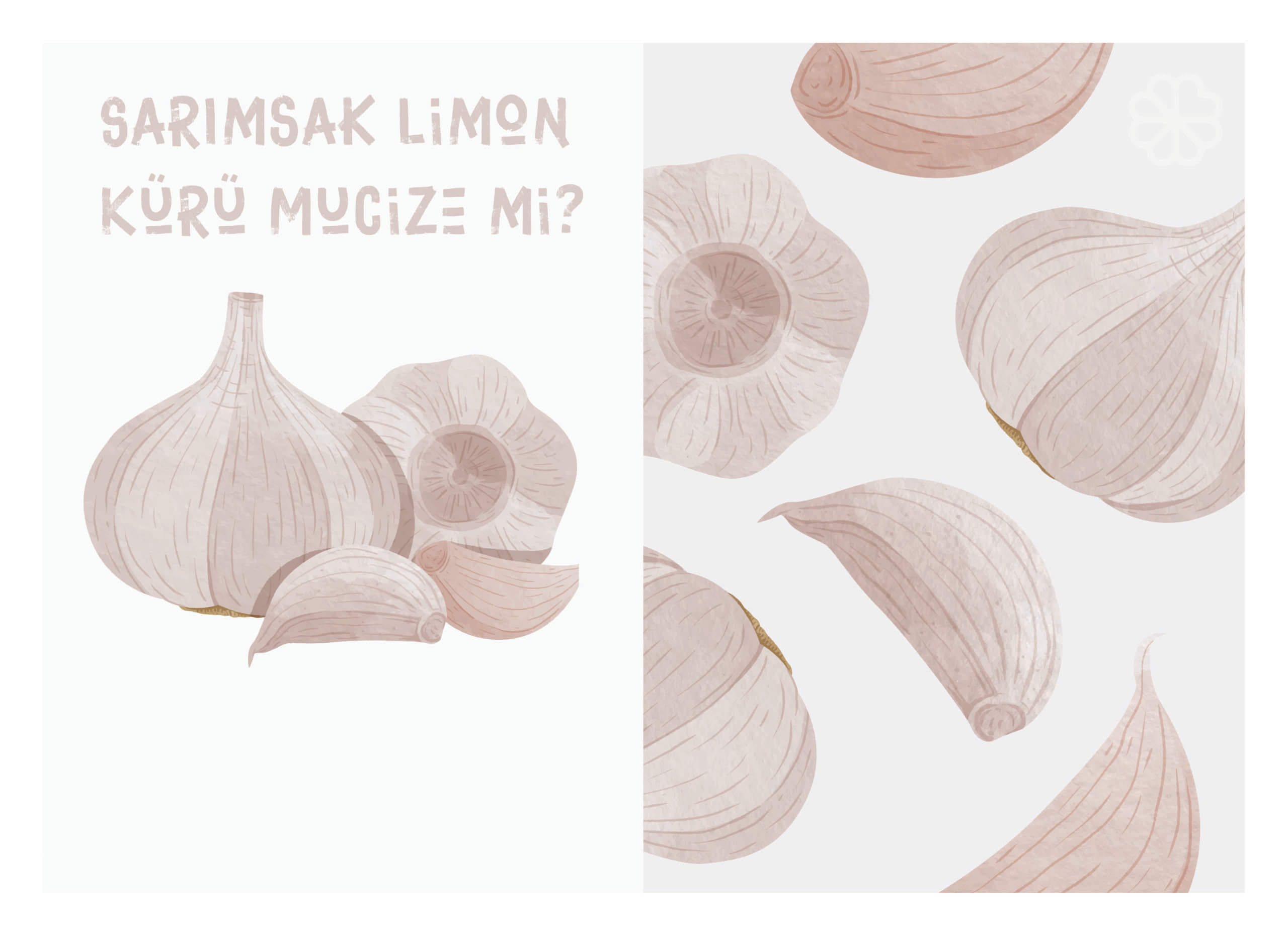 Sarımsak Limon Kürü Mucize mi?